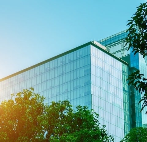 View of tall building behind trees.