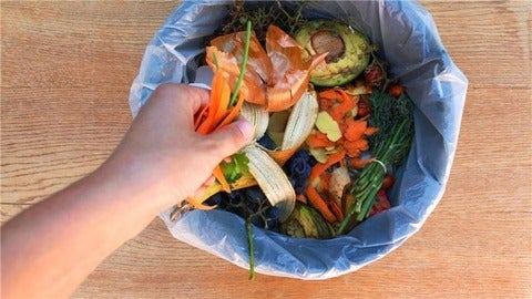 Food Scraps