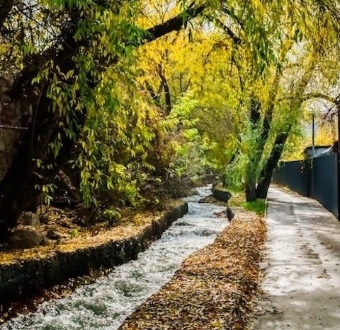 Stream surrounded by trees and walkway.