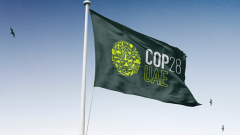 COP28 UAE Flag at the Expo Centre