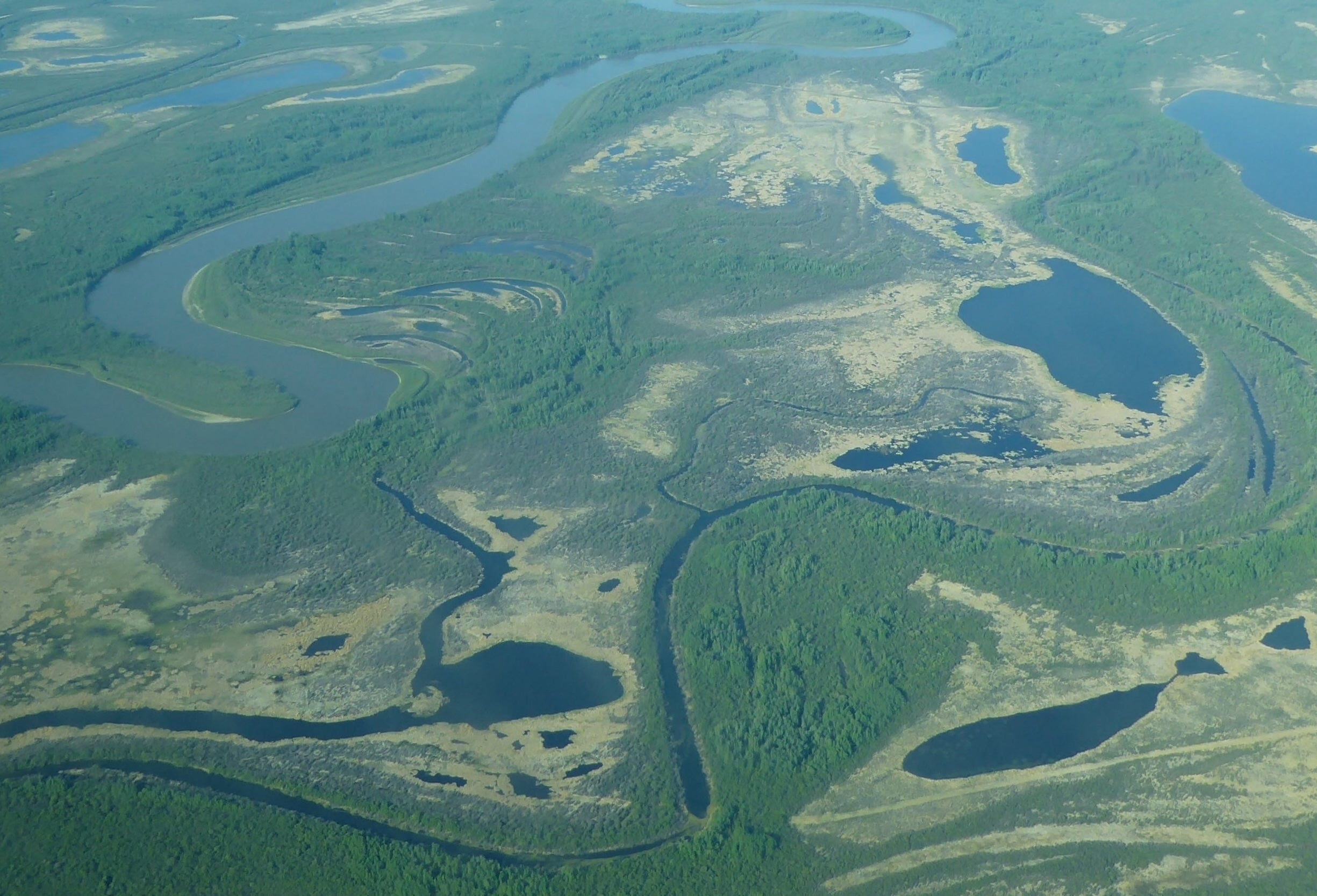 View of Peace-Athabasca Delta