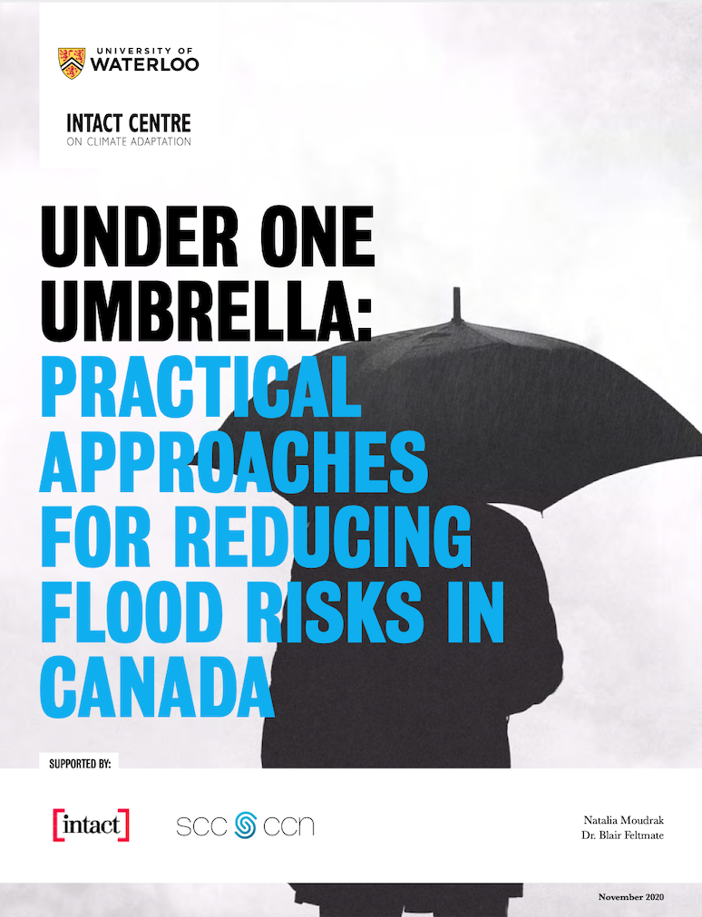 Under One Umbrella report cover