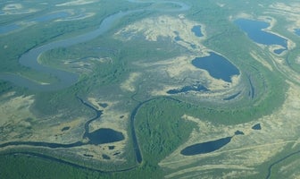 Aerial view of the Peace-Athabasca Delta
