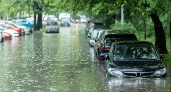 Row of cars in flood water