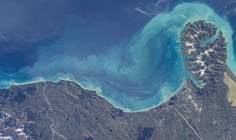 Aerial view of coast