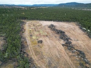 forest surrounding bare ground for farm