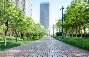 Boardwalk lined with trees