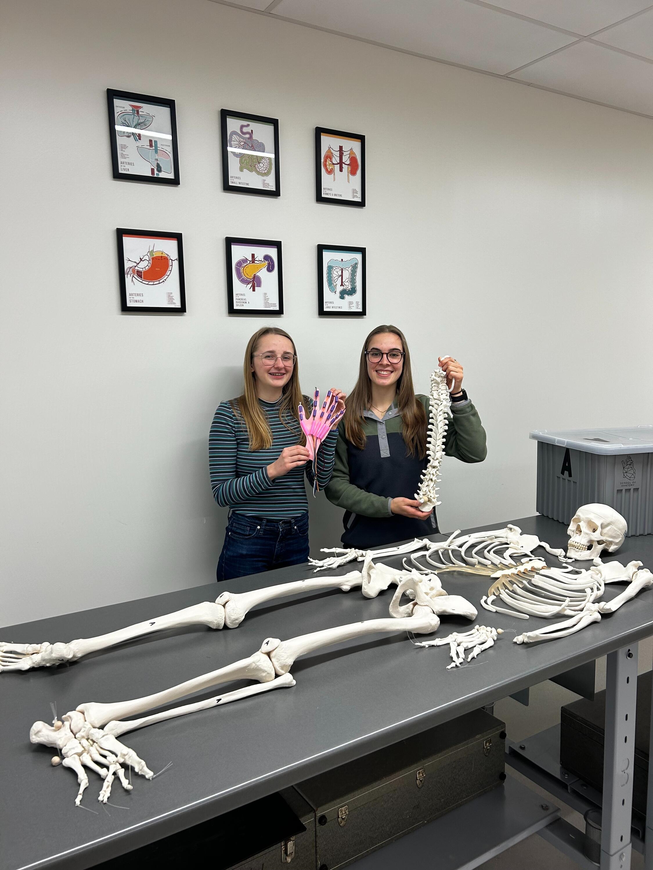 Kaija and Megan smiling in front of their hand and human skeleton models. 