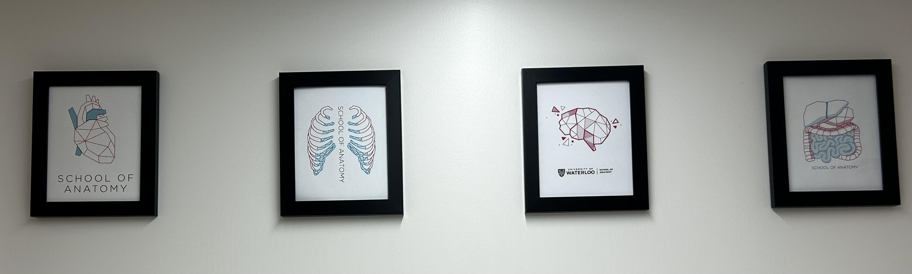 Wall art at the School of Anatomy.