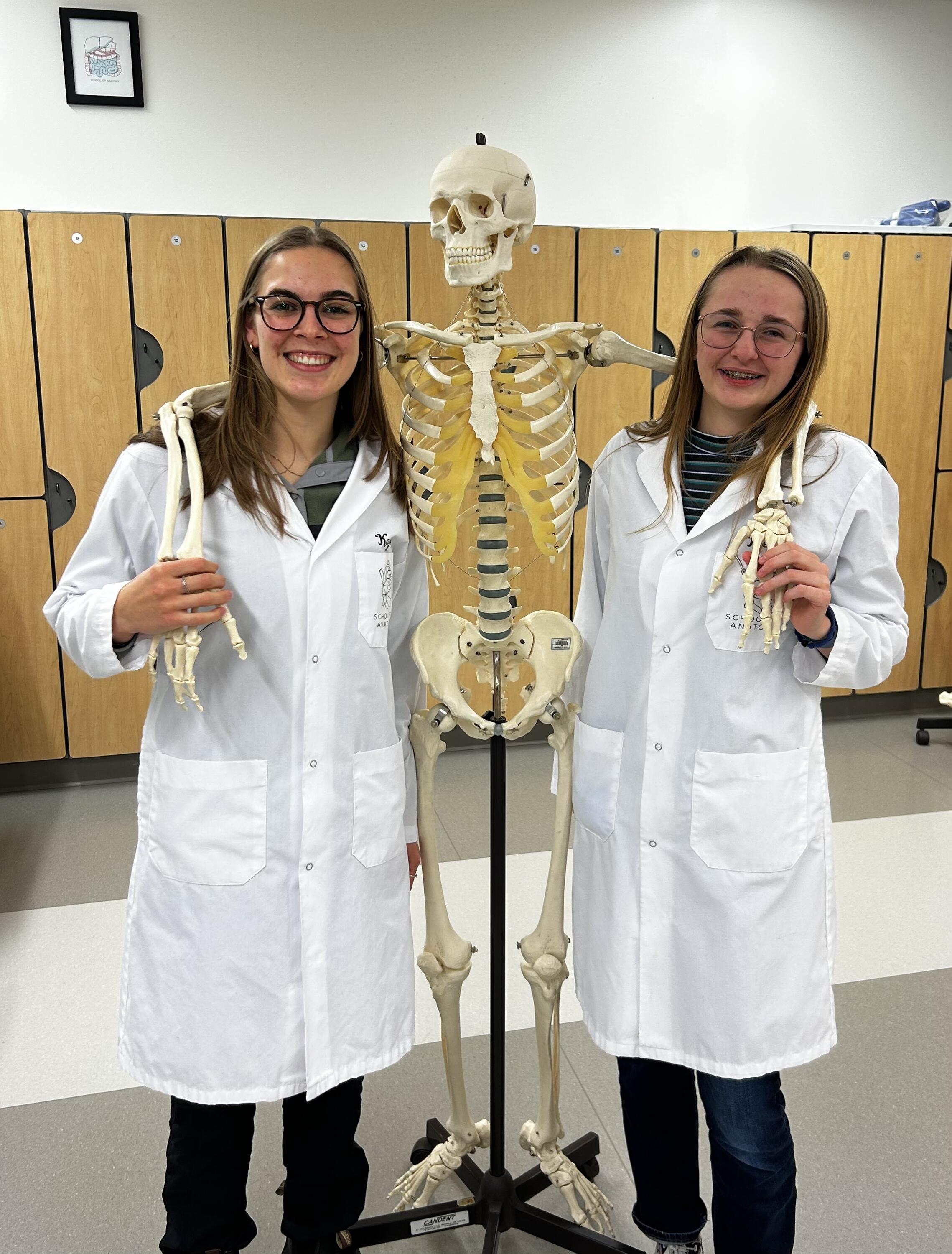 Kaija and Megan posing with a model skeleton.