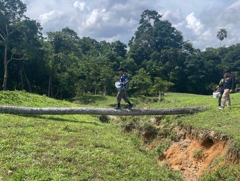 Jeff Ling walking along a tree stump over a ditch