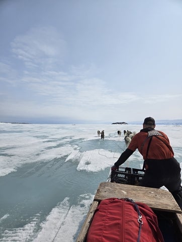 The view from a dog sled in Nunavut