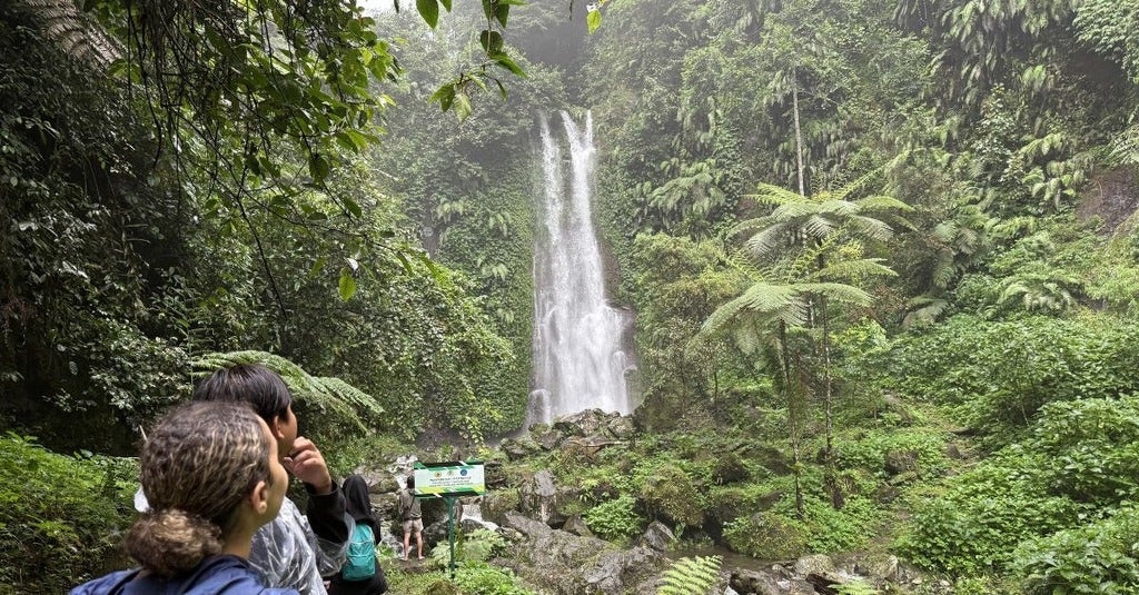 Co-op students looking at waterfall in Indonesia 