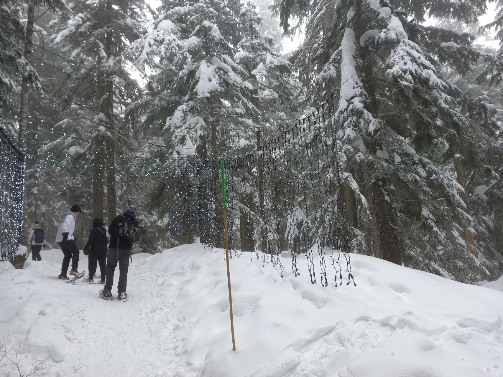 A first-person view of Titus walking through a snowy forest.