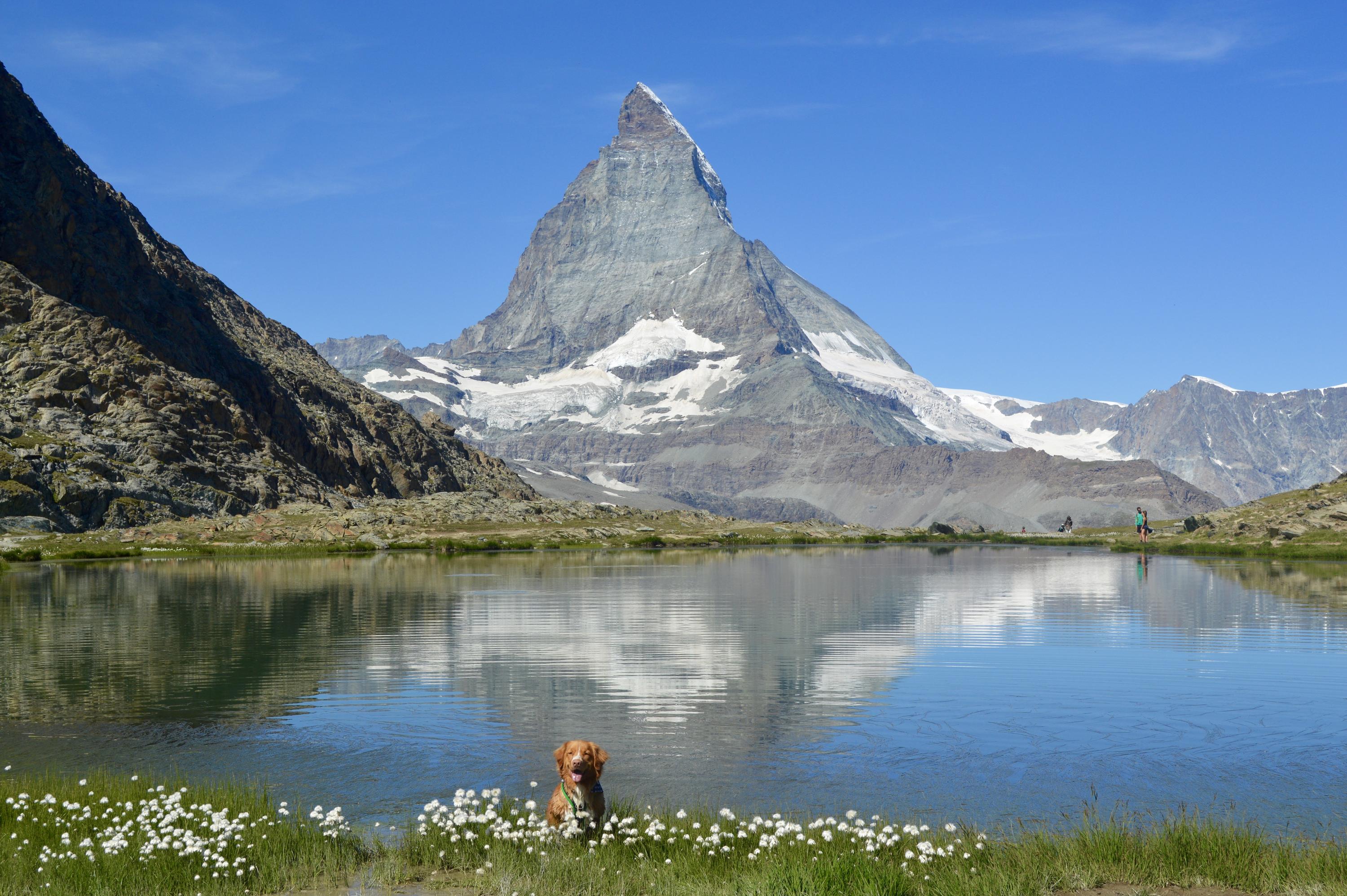 Rotenboden stop on the Gornergrat Bahn train in Zermatt, Switzerland