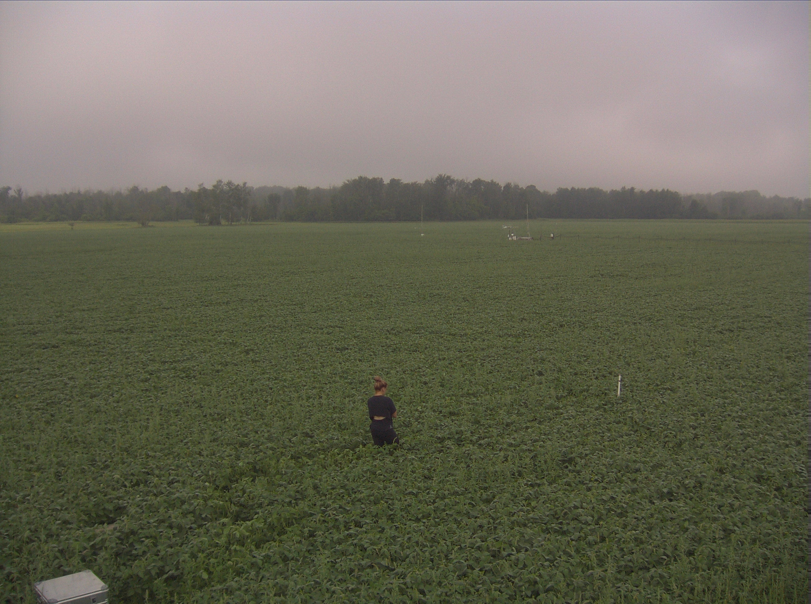 Sam unning the machine using an iPod to test the gas fluxes later on in the growing season!