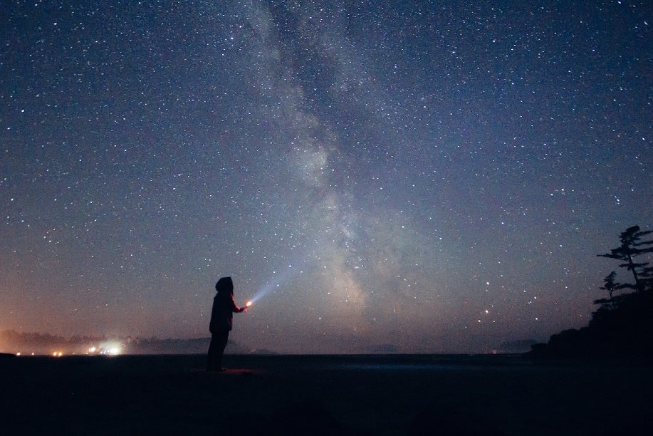 TiffanyMah - First place winner