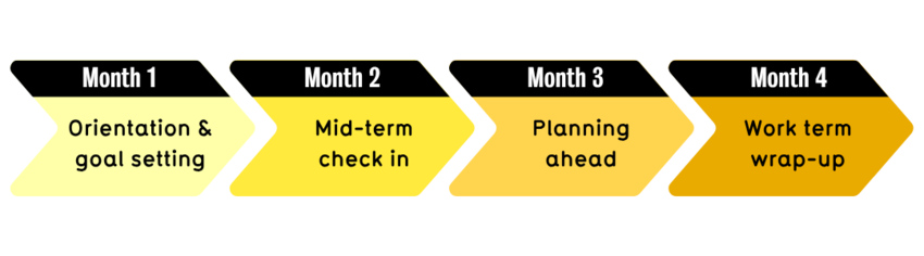 Timeline saying- Month 1:Orientation & goal setting Month 2:Mid-term check in Month 3:Planning ahead and Month 4: Planning ahead