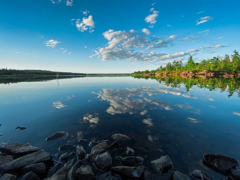 Calm water scene surrounded by trees.