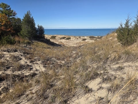 Lake Huron dunes