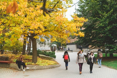 students walking on campus