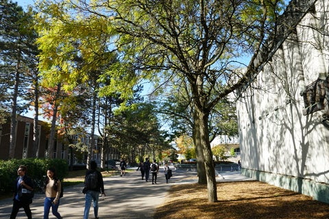 On campus outside of Arts lecture hall