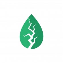 conference logo leaf