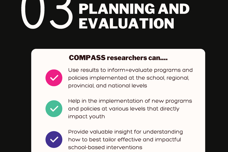 Figure 6 - program planning and evaluation