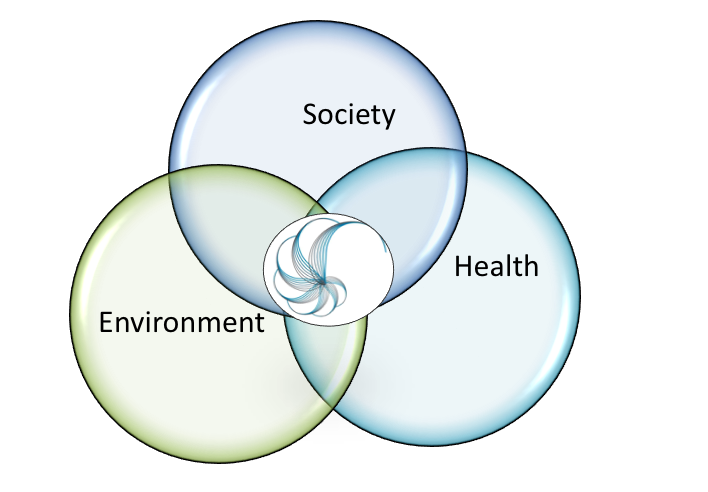 WICI at the intersection of Society, Environment and Health