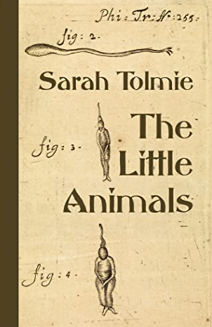 Book cover: The Little Animals by Sarah Tolmie