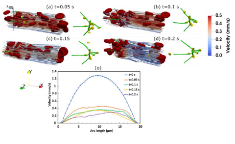 HemoCell example