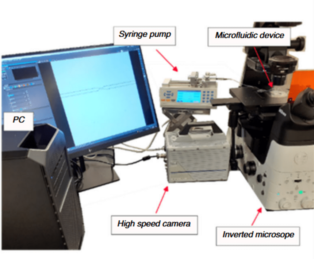 Experimental set up