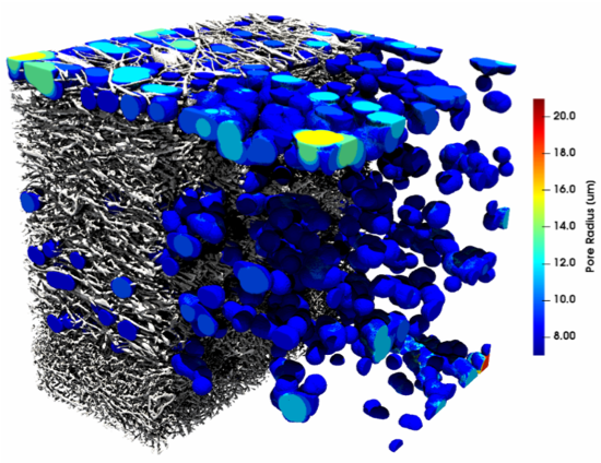 Quantitative Analysis of Volumetric Images of Fibrous Electrodes