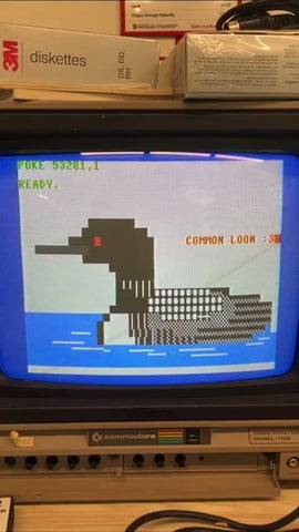 PETSCII graphic of Common Loon on Commodore 64