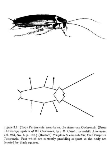 Cockroach drawing next to computer cockroach