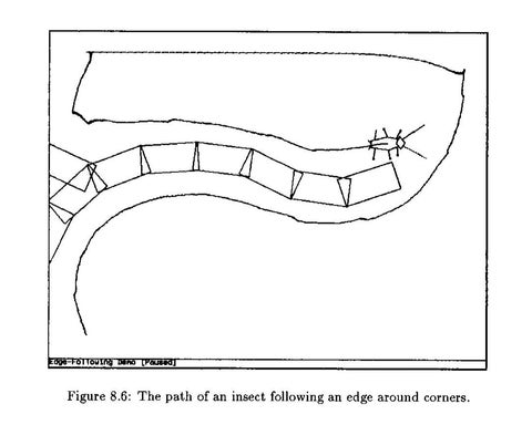 The path of a computer cockroach following an edge