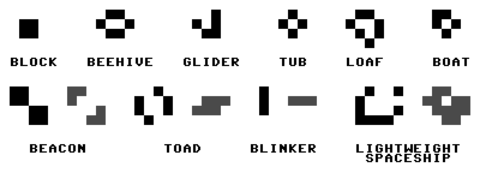 Examples of common patterns in the Game of Life