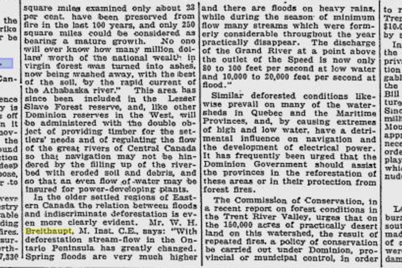News article from the Morning Leader on June 20, 1914 where William Breithaupt talks about deforestation