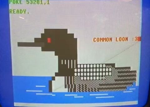 PETSCII Loon