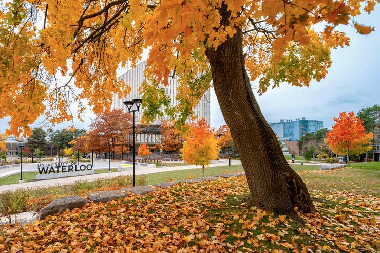 University of Waterloo during the fall