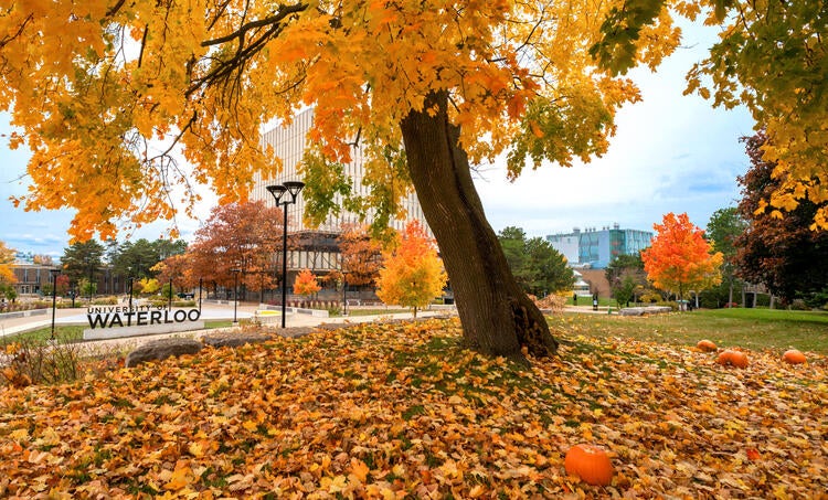 photo of the University of Waterloo with pumpkins