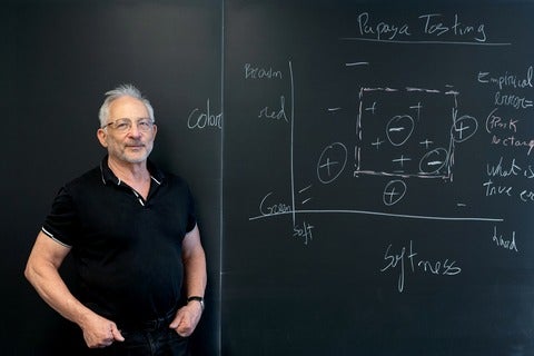 Professor Shai Ben-David in front of a blackboard