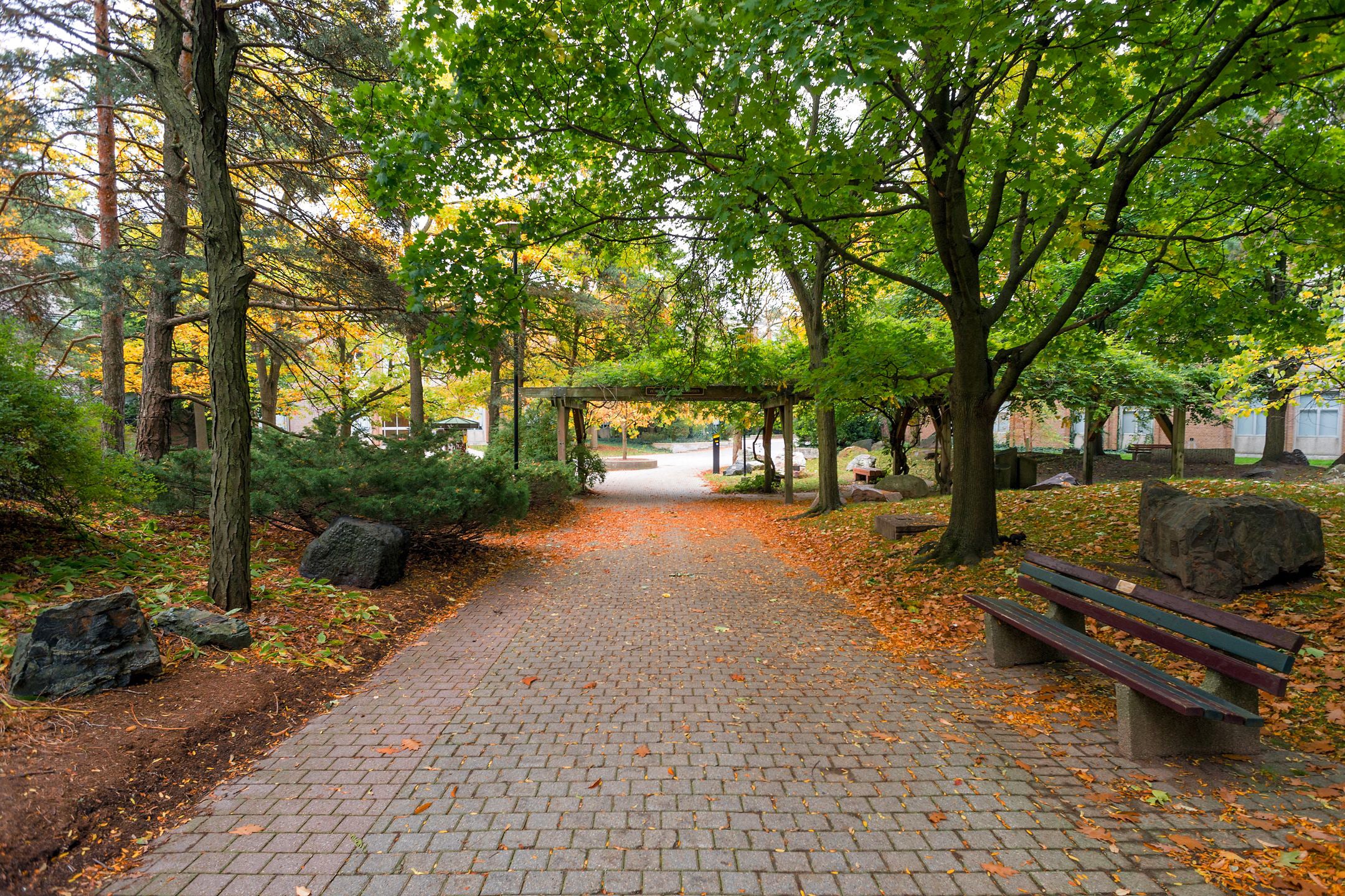 Peter Russell Rock Garden during the fall