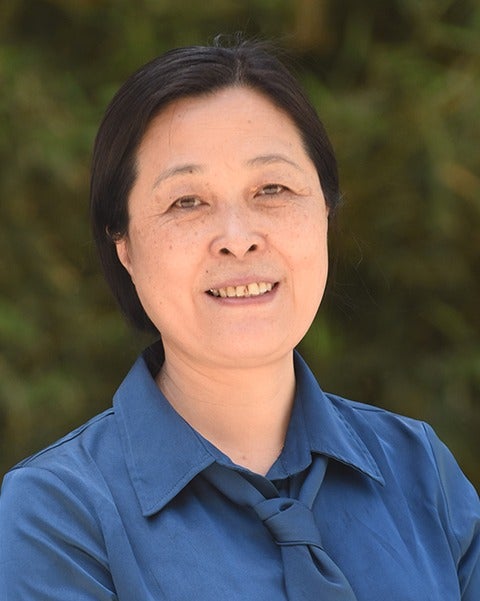 Professor Haiyan Xu