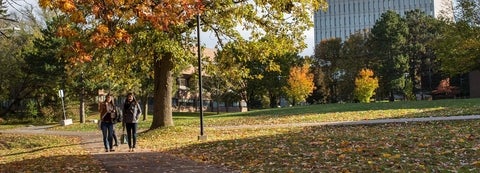 two people walking on a path in the autumn