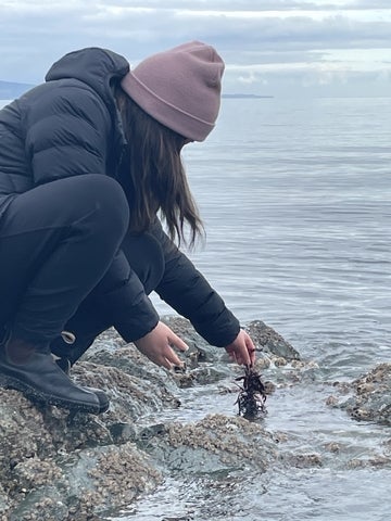 Kelly Zheng pulling kelp from the ocean