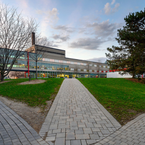 Paths diverging into three on campus