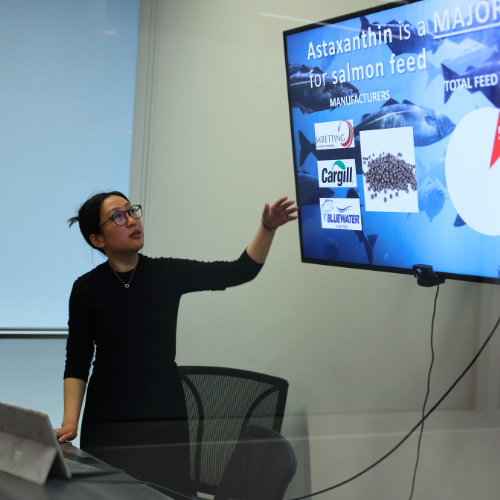 ARC Pitch Day
