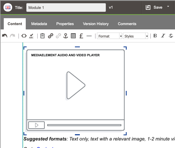 media-element placeholder