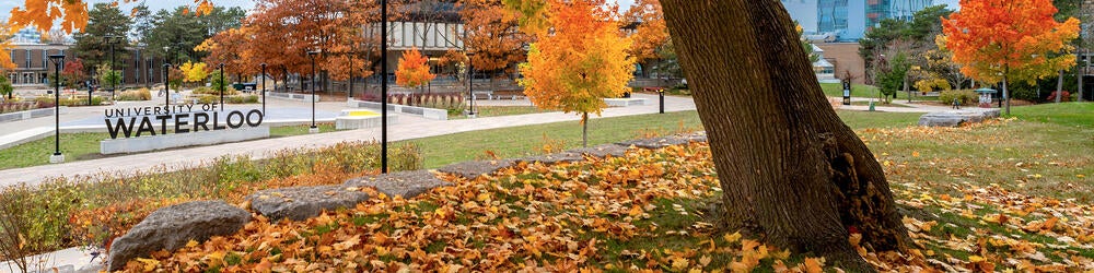 University of Waterloo sign seen from a leaf-covered hill